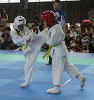 ＳＪＣ２０１６スーパージュニアカップ空手道大会　結果　(2016.6.19)の画像