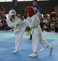 ＳＪＣ２０１６スーパージュニアカップ空手道大会　結果　(2016.6.19)の画像