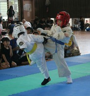 ＳＪＣ２０１６スーパージュニアカップ空手道大会　結果　(2016.6.19)の画像