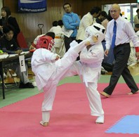 梶原一騎先生メモリアル空手界のあしたのジョーをさがせ！　第２回九州選抜予選会～九州地域親善空手道錬成会２０１６　結果　(2016.11.3)の画像