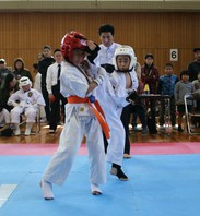 第２５回熊本県空手道交流大会　結果　(2016.11.13)の画像