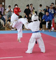 ＳＪＣ２０１７スーパージュニアカップ空手道大会　結果　(2017.6.11)の画像