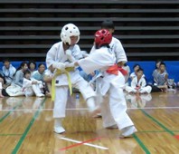 ２０１７凰狼杯ビギナーズチャレンジマッチ直接打撃制空手道大会　結果　(2017.7.30)の画像