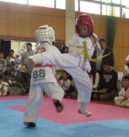 第２６回熊本県空手道交流大会　結果　(2017.11.12)の画像