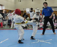 スーパーチャレンジカップ２０１８戌之章十二支王座空手道大会　結果　(2018.3.4)の画像