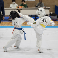 第２回マスターズ全日本空手道選手権大会２０２４　結果　(2024.5.19)の画像