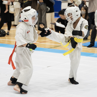 第２回マスターズ全日本空手道選手権大会２０２４　結果　(2024.5.19)の画像