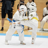 第２回マスターズ全日本空手道選手権大会２０２４　結果　(2024.5.19)の画像