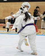 第２回マスターズ全日本空手道選手権大会２０２４　結果　(2024.5.19)の画像