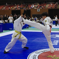第１９回白蓮会館全九州空手道選手権大会　結果　(2024.6.2)の画像