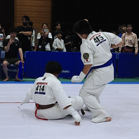 第１９回白蓮会館全九州空手道選手権大会　結果　(2024.6.2)の画像