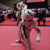 文部科学大臣杯 第１８回ＪＫＪＯ全日本ジュニア空手道選手権大会　結果　(2024.11.17)の画像