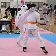 第１２回武神杯実戦空手道選手権大会　結果　(2024.11.24)の画像
