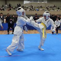 第１７回２０２５全日本空手道選手権大会　結果　(2025.4.13)の画像