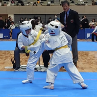 第１７回２０２５全日本空手道選手権大会　結果　(2025.4.13)の画像