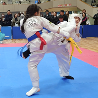 第１７回２０２５全日本空手道選手権大会　結果　(2025.4.13)の画像