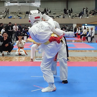 第１７回２０２５全日本空手道選手権大会　結果　(2025.4.13)の画像