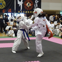 第３回極ＣＵＰ全九州空手道選手権大会　結果　(2025.5.25)の画像