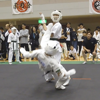 第３回極ＣＵＰ全九州空手道選手権大会　結果　(2025.5.25)の画像