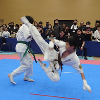 第７回哲心杯空手道選手権九州大会　結果　(2025.8.3)の画像