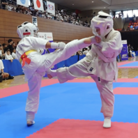 第３２回葉隠カップ全九州空手道選手権大会　結果　(2025.9.15)の画像