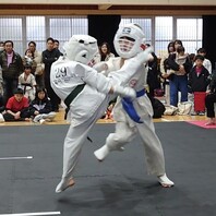 ２０２５極會champion決定戦空手道大会　結果　(2025.12.28)の画像